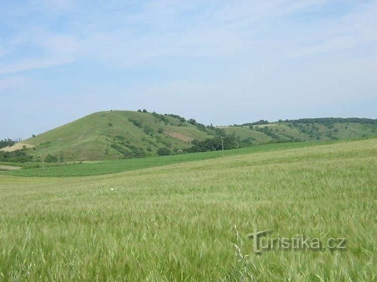 Пуздранская степь