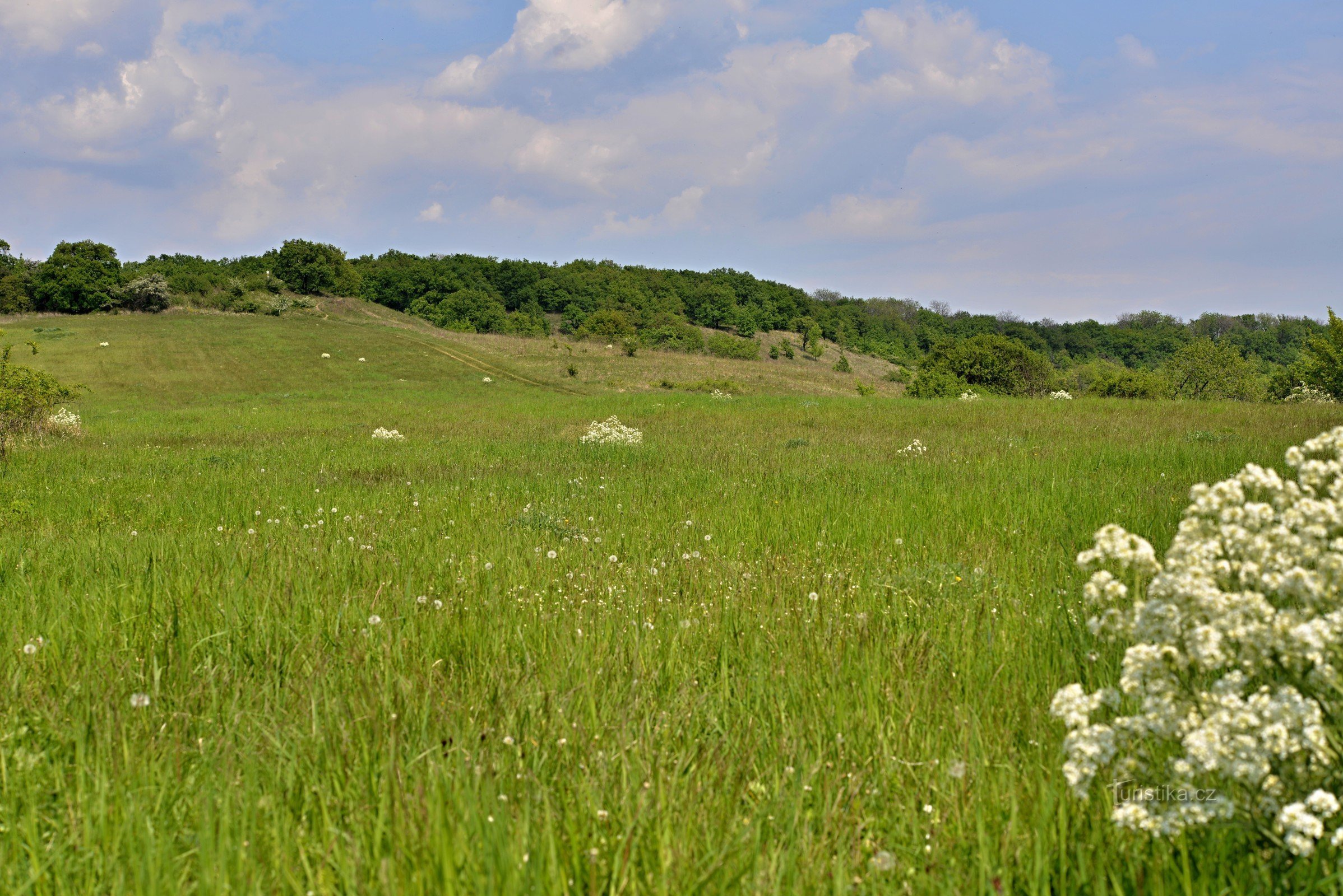 Pouzdran steppe