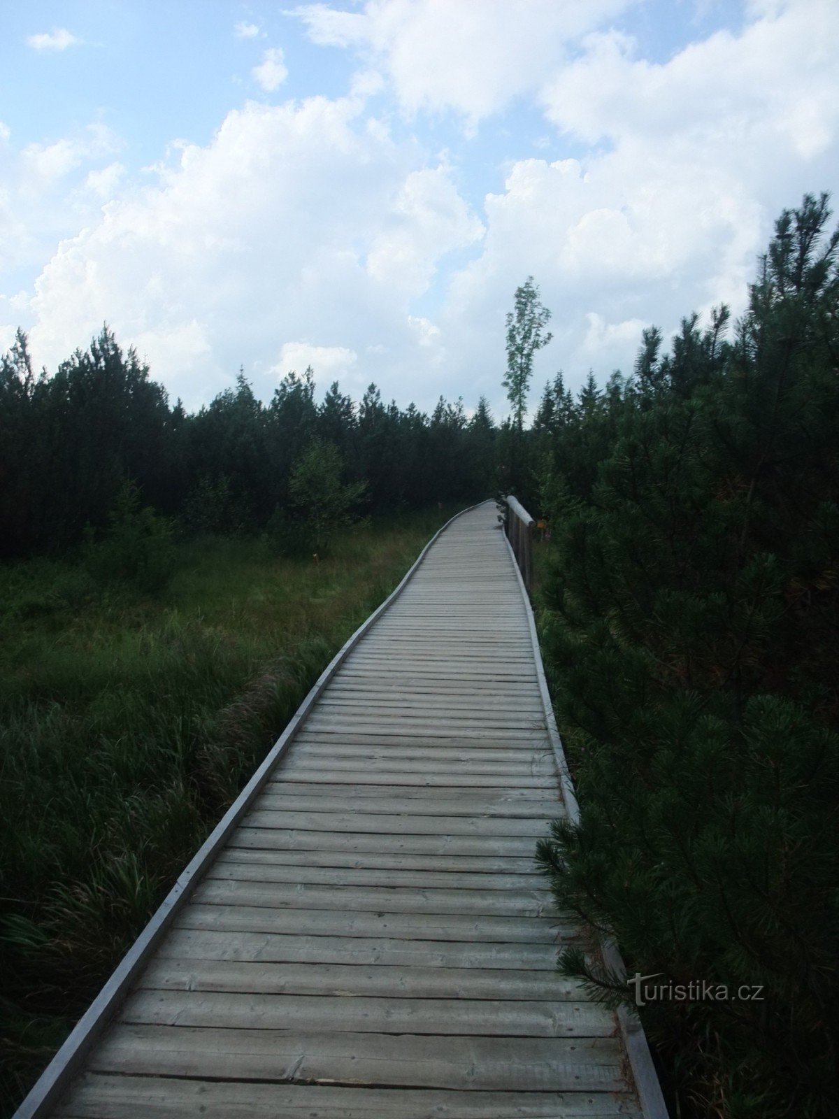 Pasarela de techo en Jezerní slati