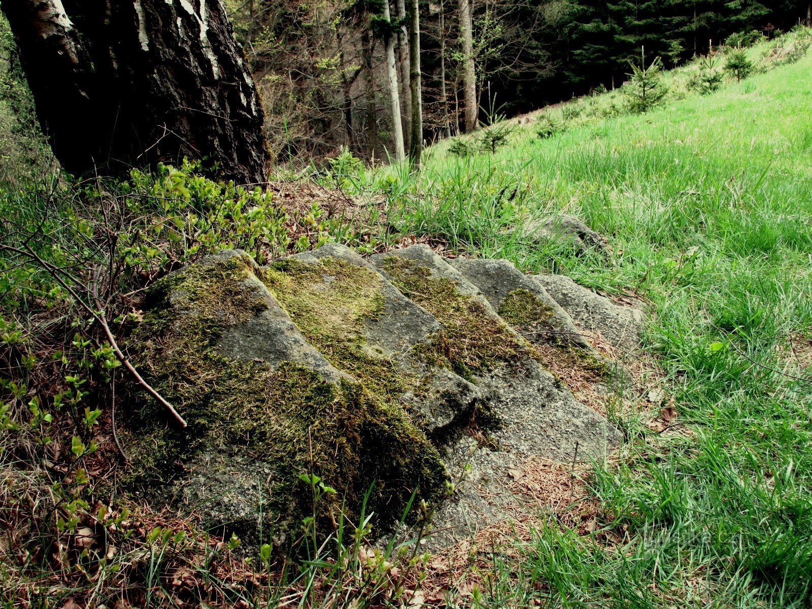 Het gerucht over de trap van de duivel. Bystřec. Orlische bergen.