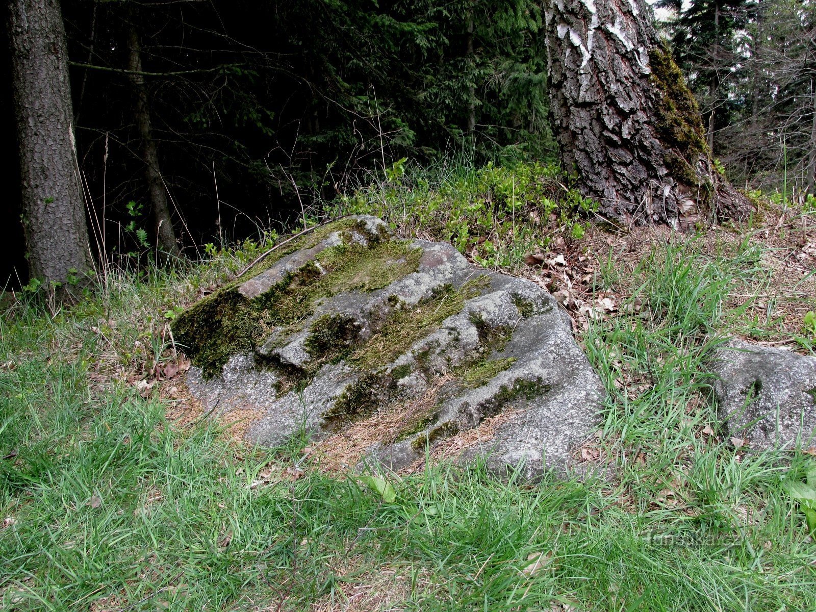 Het gerucht over de trap van de duivel. Bystřec. Orlische bergen.