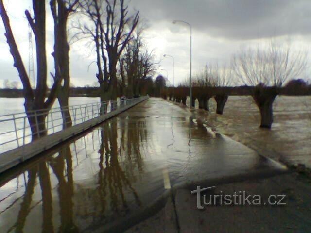 Cầu vượt lũ gần Krňovice - mùa xuân năm 2006