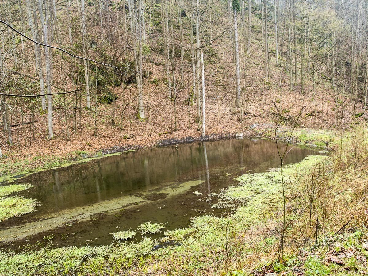 Étang d'inondation