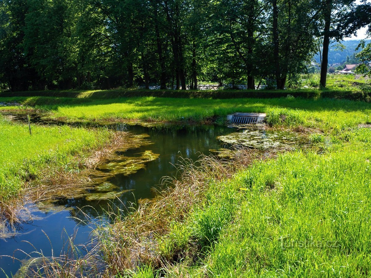 Flood parks, motorbikes and Wolf's Saddle