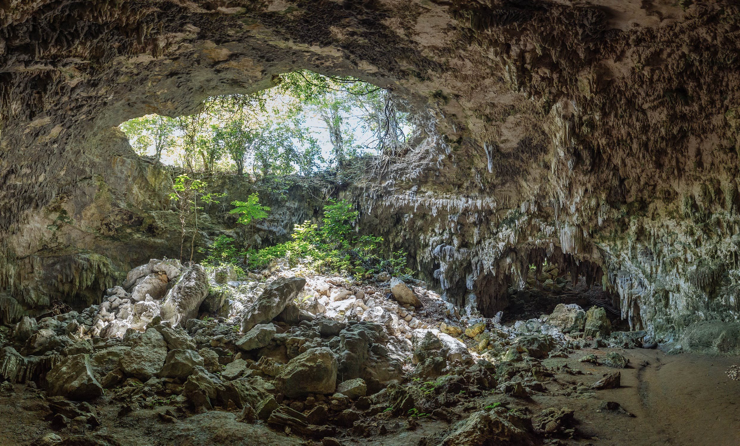 Découvrez les 5 sites naturels les plus attrayants de la région d'Olomouc