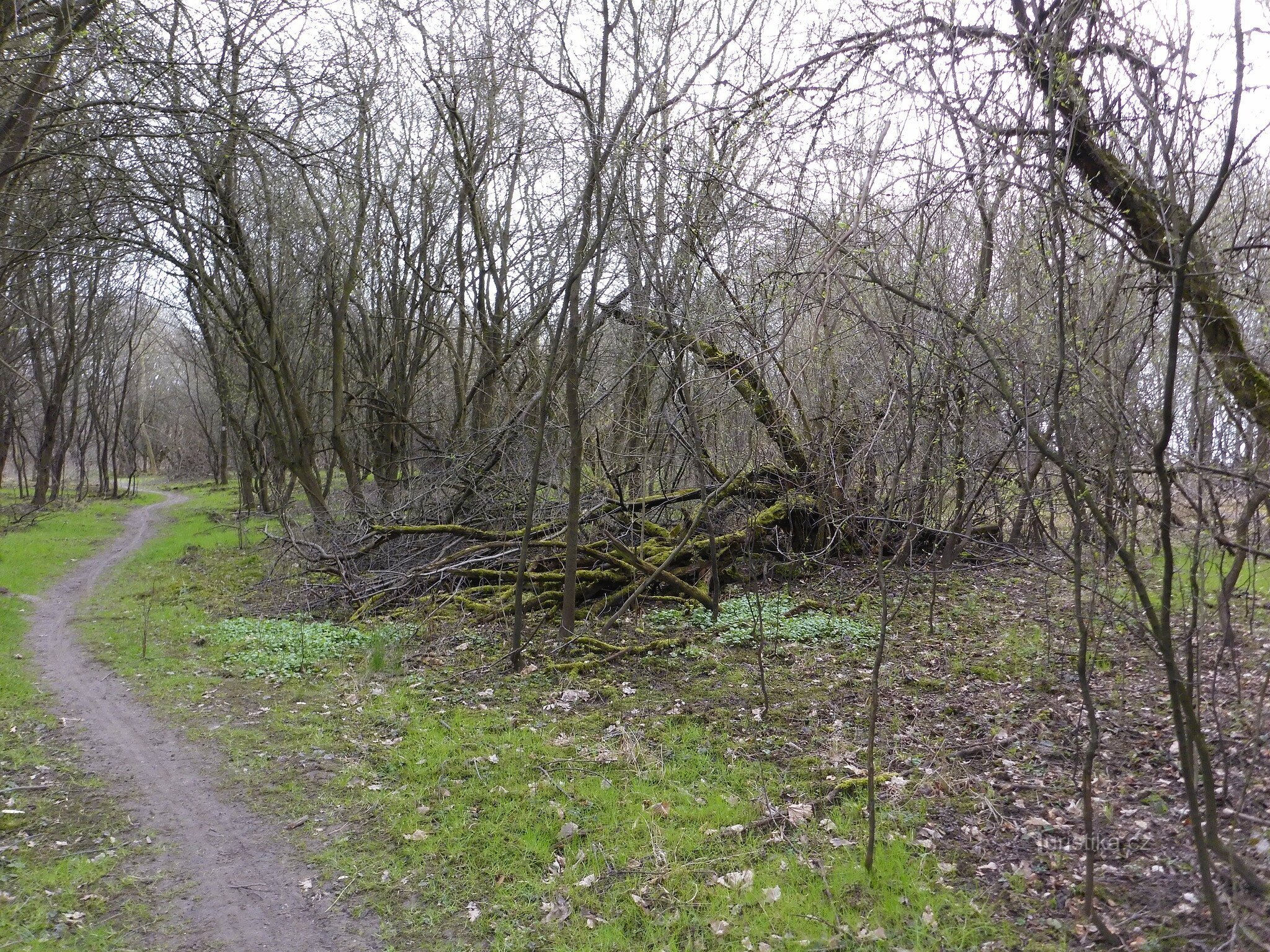 CO обсерваторія на Hladové vrch.