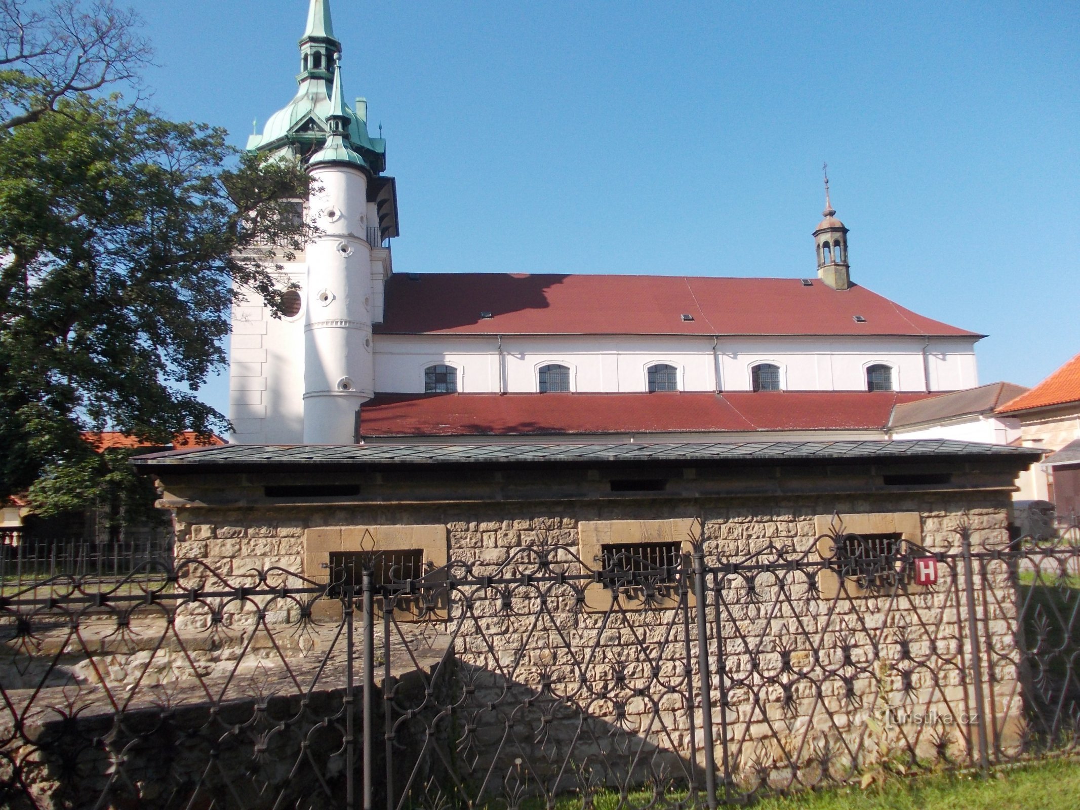 resterna av basilikan