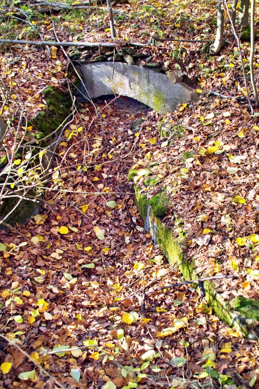 The remains of the tunnel