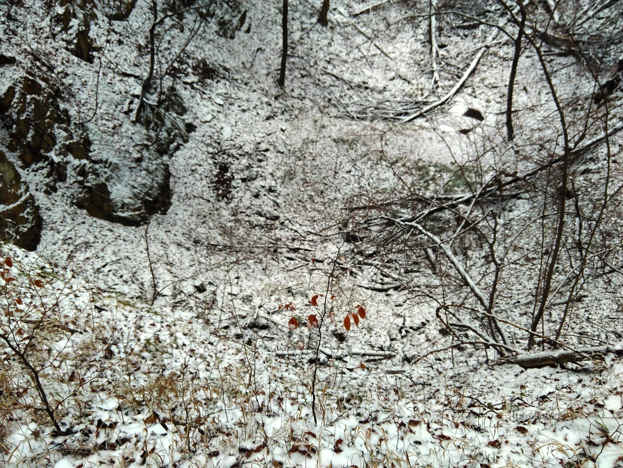 remains of limestone mining