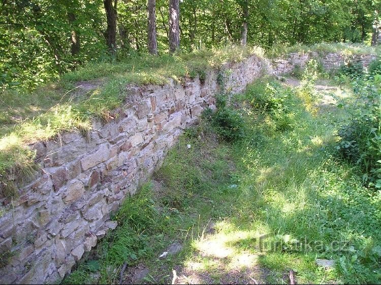 Rămășițele zidurilor castelului