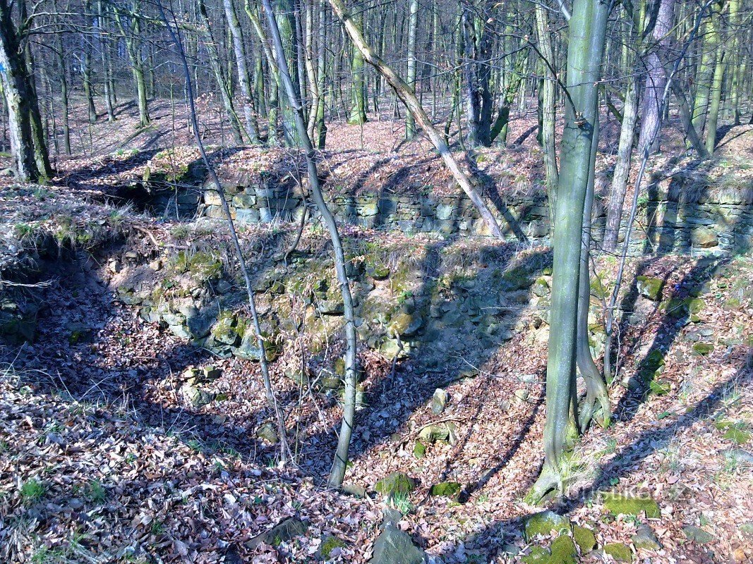 Rămășițele zidurilor castelului - Čalonice