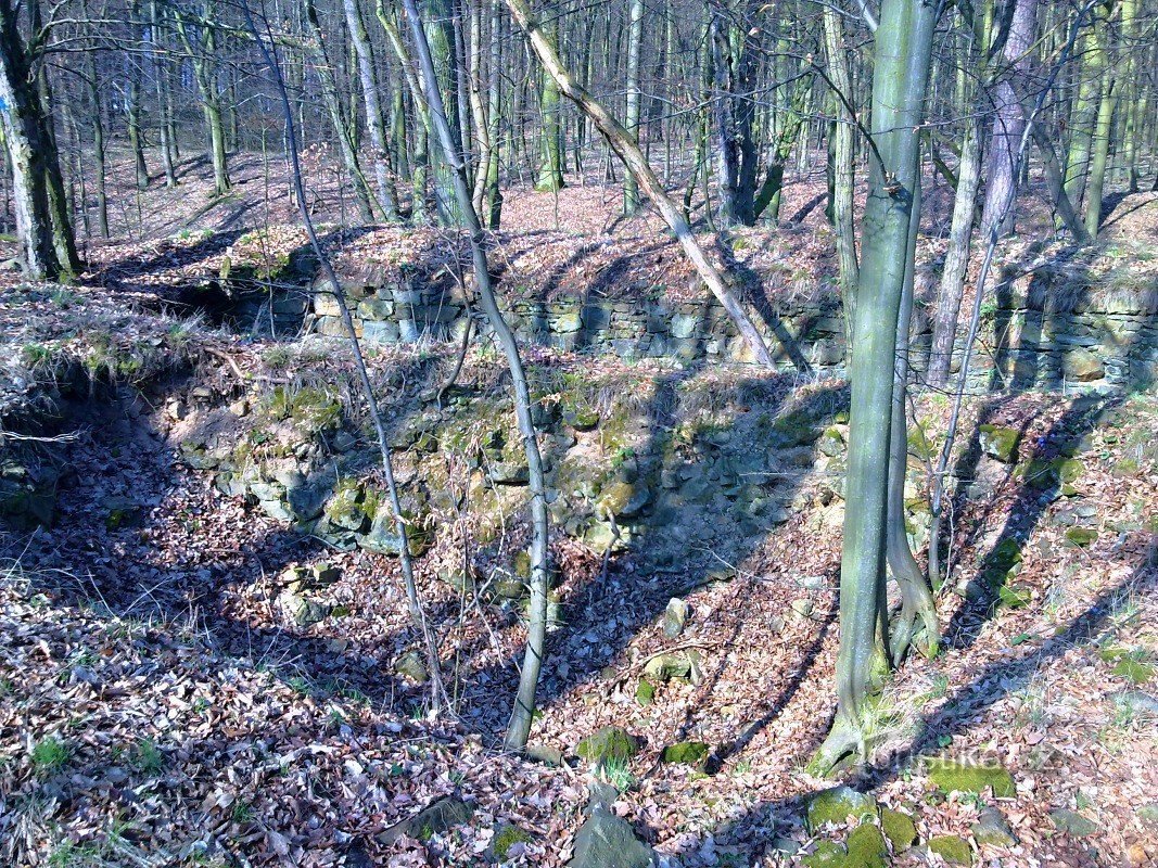 Vestiges des murs du château - Čalonice