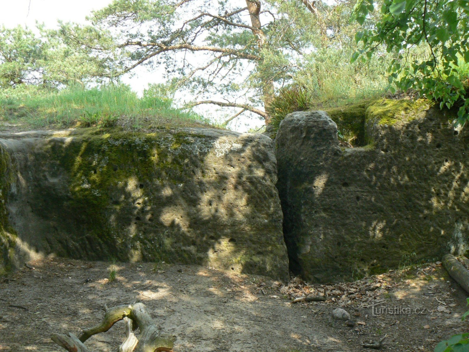 Vestiges du château