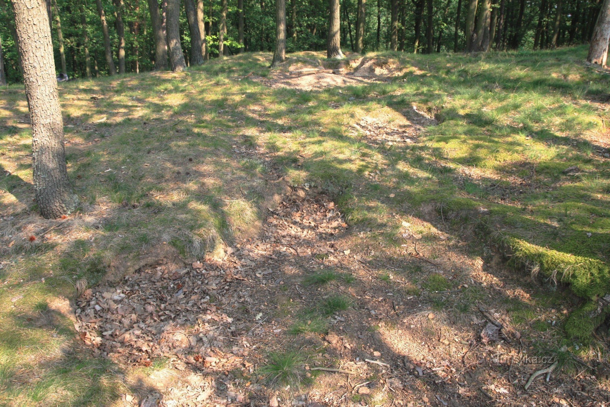 Remains from probes in Hradisk
