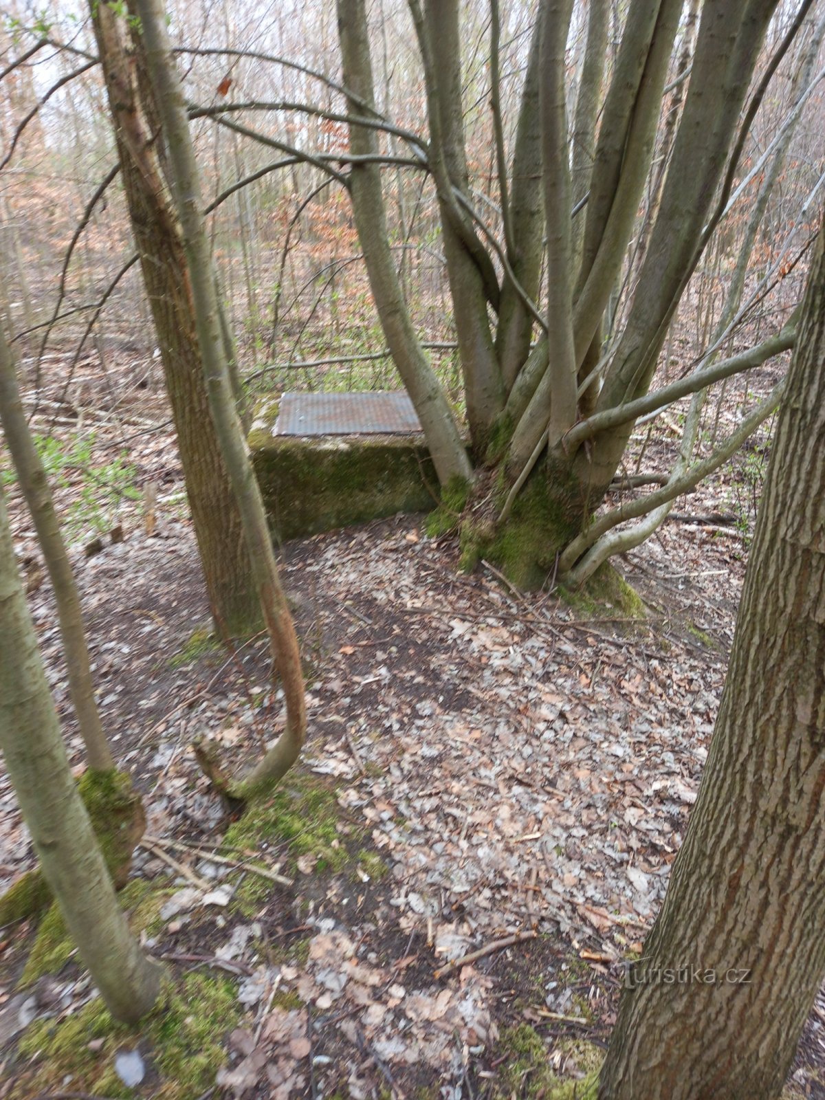 Rămășițele unui adăpost antiaerian din Doubravice