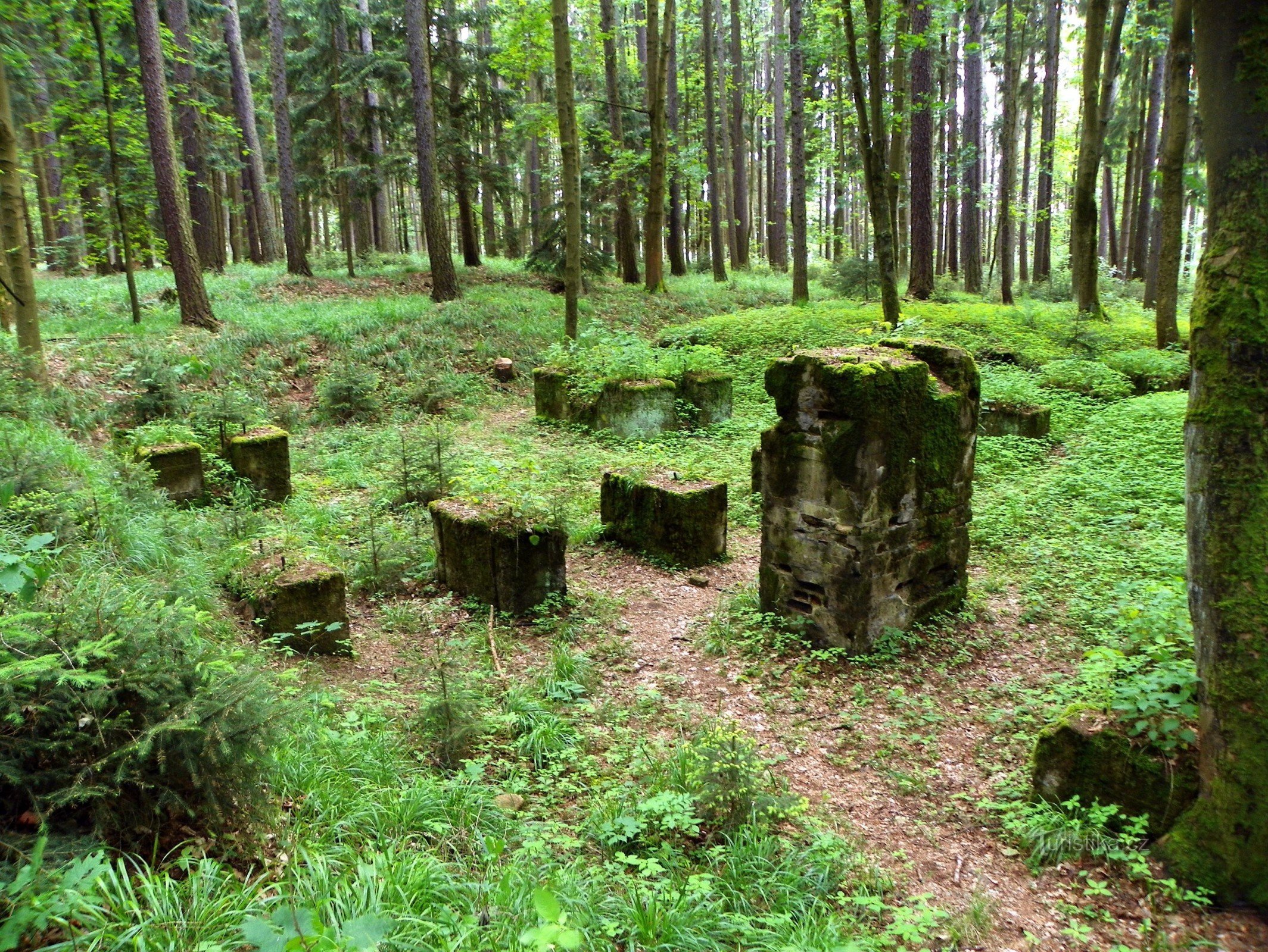 Reste der Fundamente eines Dampfsägewerks bei Hamrů