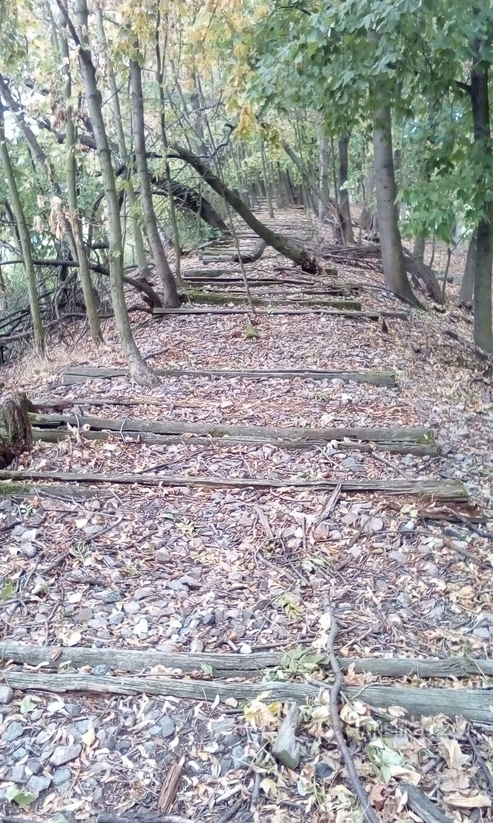 Rămășițe de cale ferată din poligonul tehnic al regimentului de căi ferate