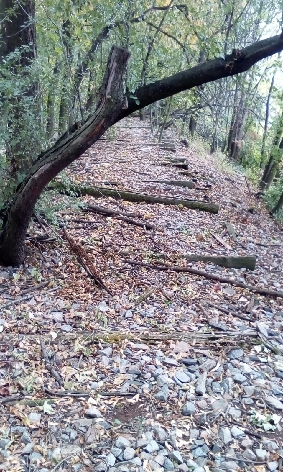 Railway remains of the technical training ground of the railway regiment