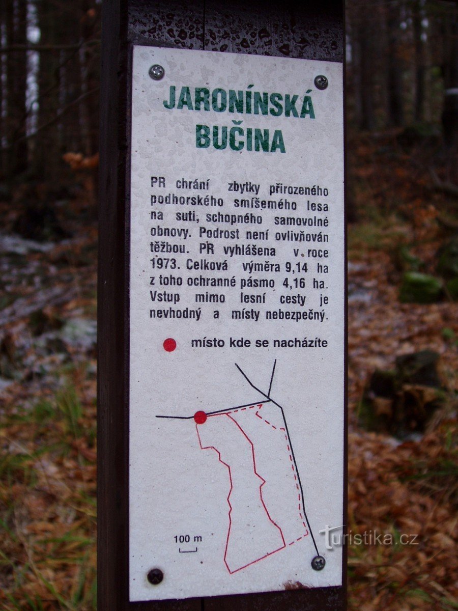 PR Jaronínská bučina