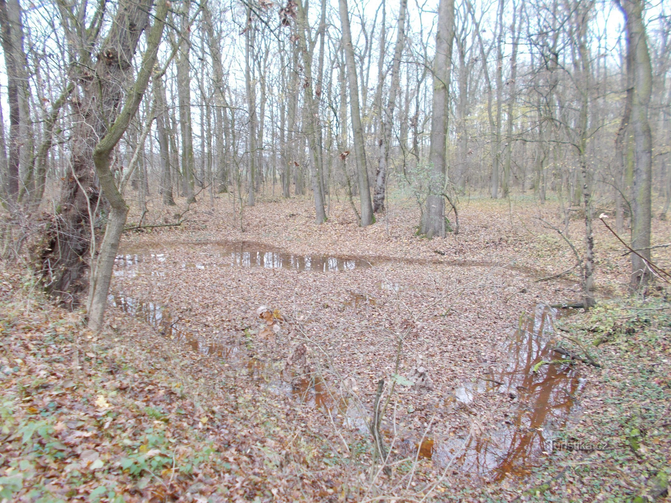 PR Káraný - piscine Hrbáček