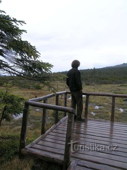 PR Klečové luky - Great kneeling meadow