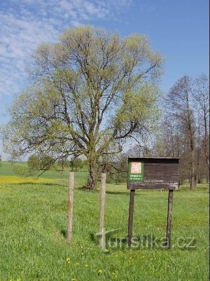 PR In het kreupelhout