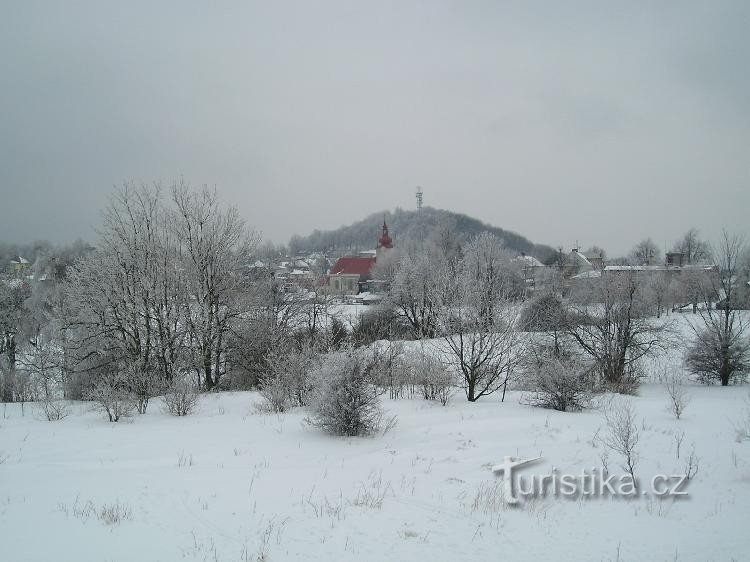 Pojemnik na śmieci