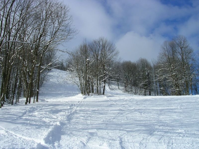 Coș de gunoi