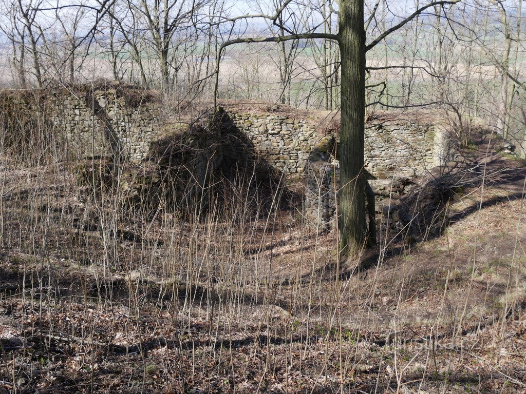 Laundry room, walls on the west side