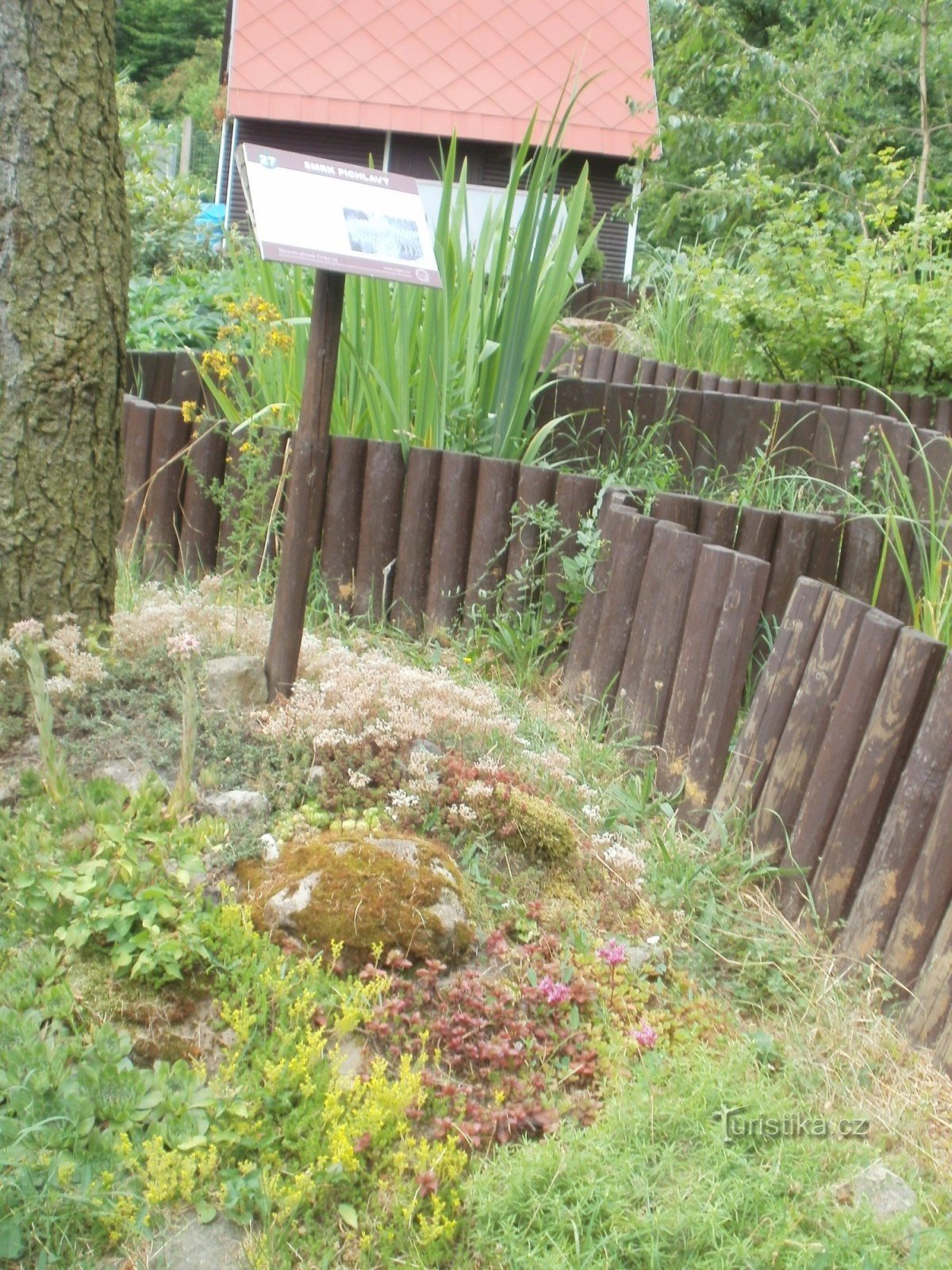 Prachov - Czech Paradise nature museum