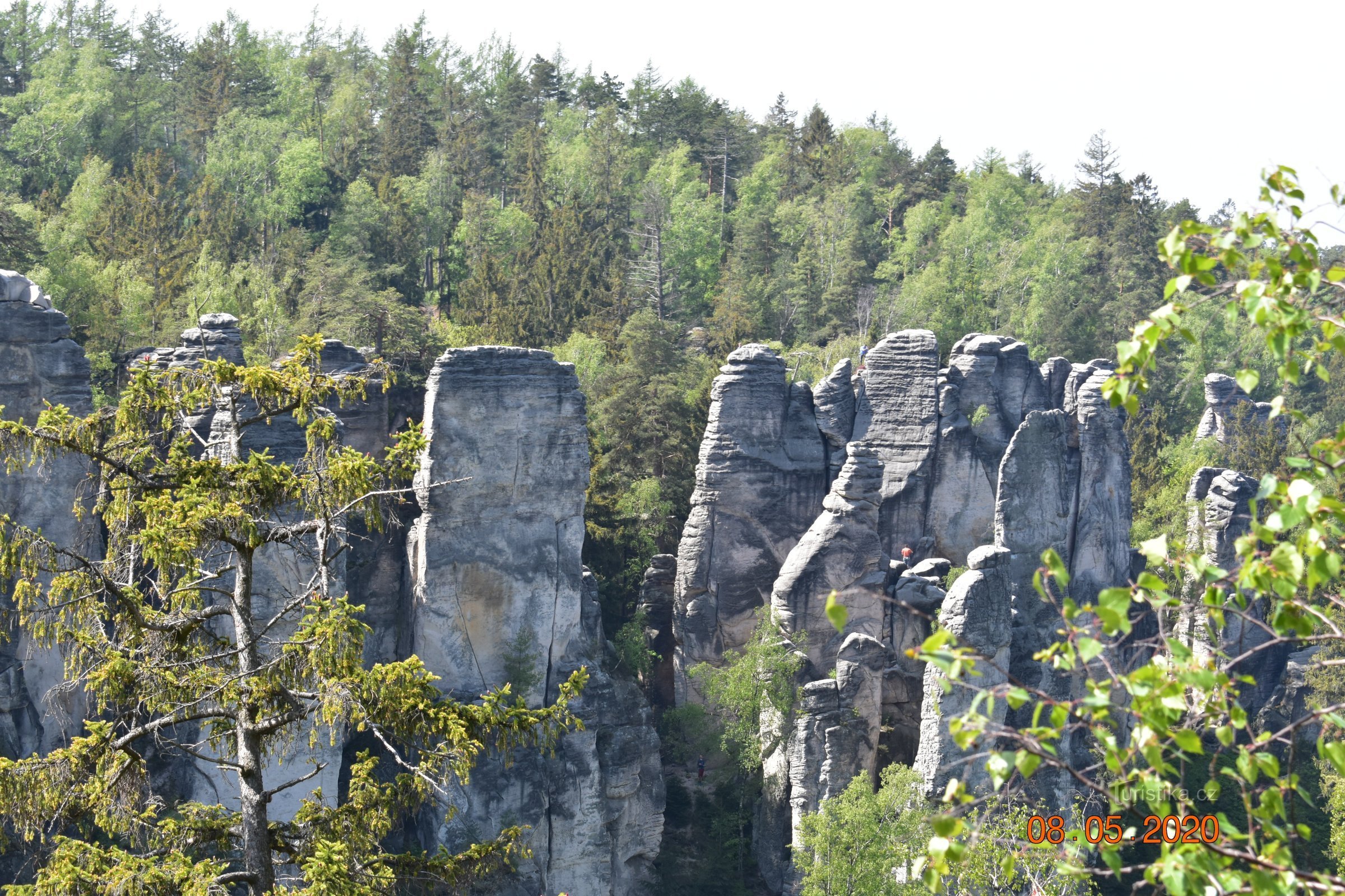 Prachovské skały