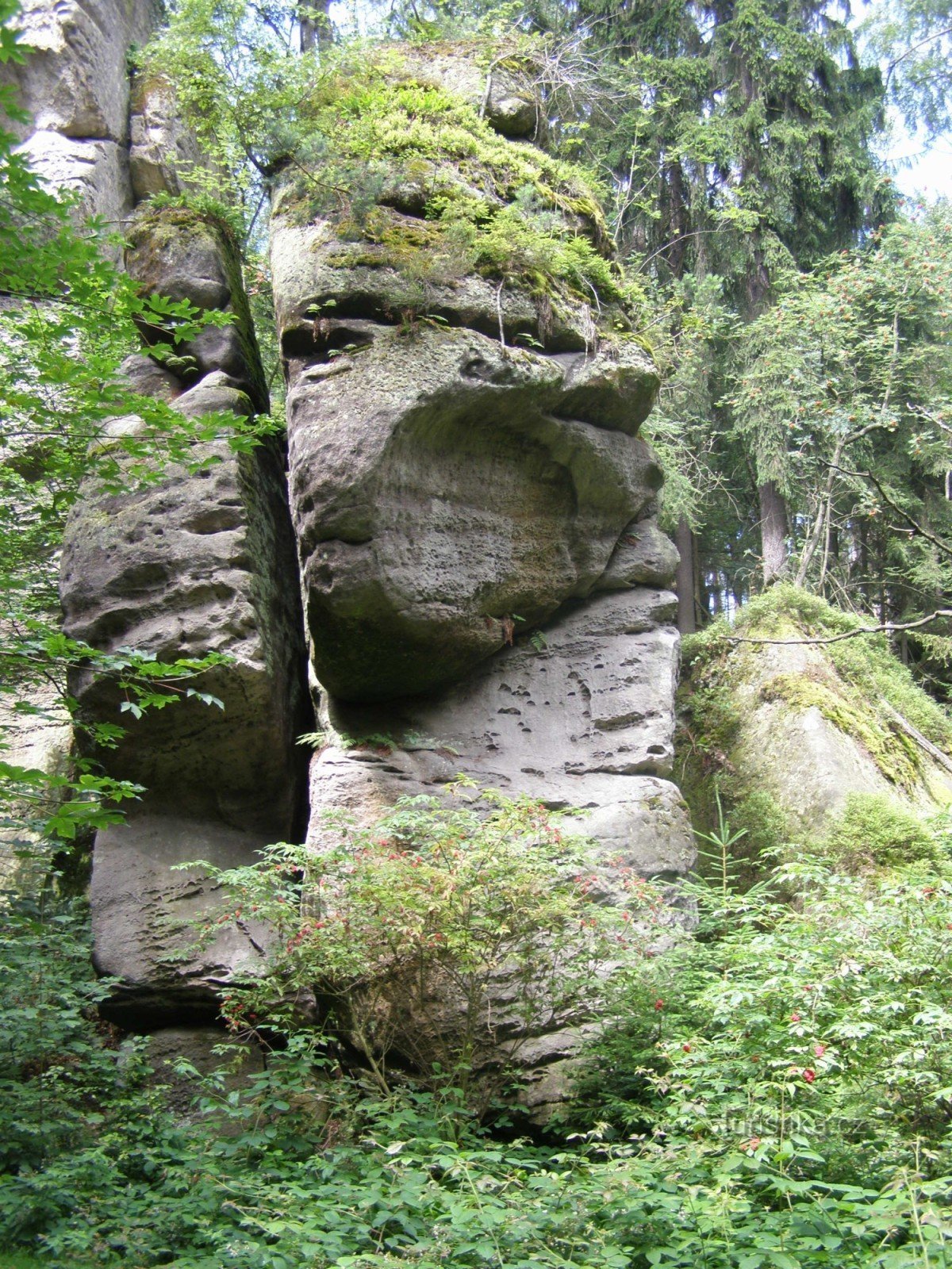 Prachovské skály - Fortna