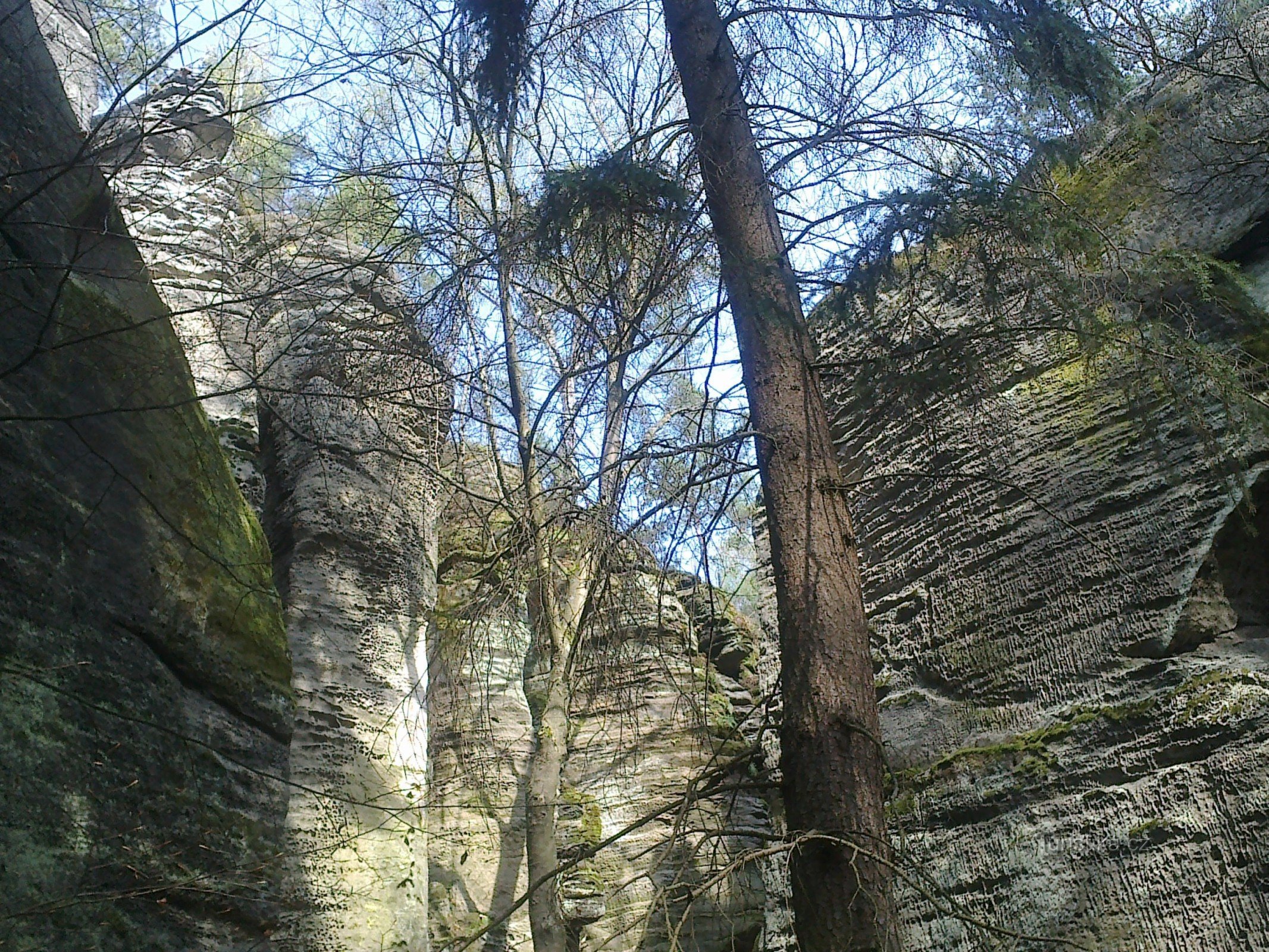 Rocce di Prachovské, un vero paradiso!