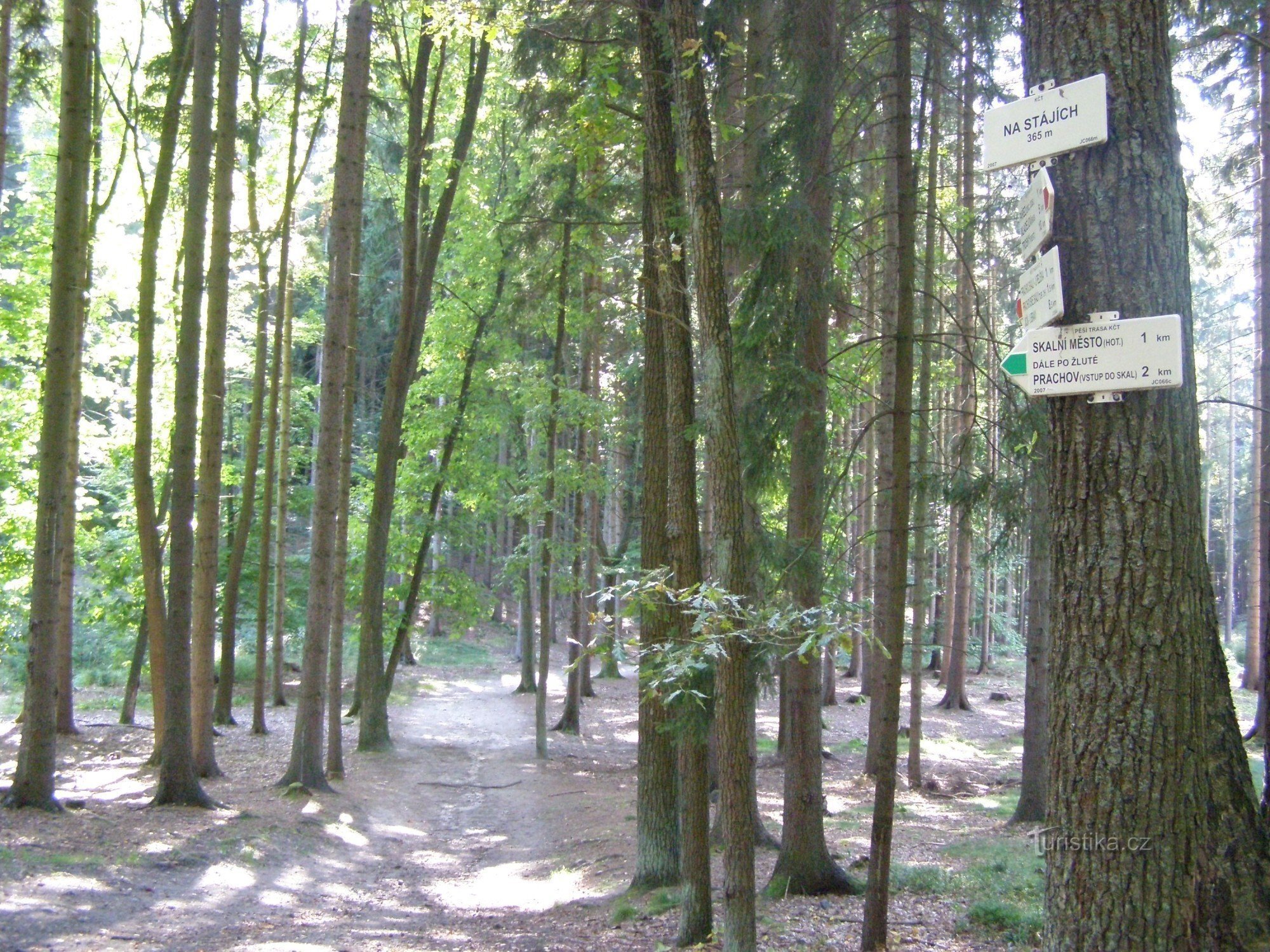 Prachovské skály - Na Stájé crossroads