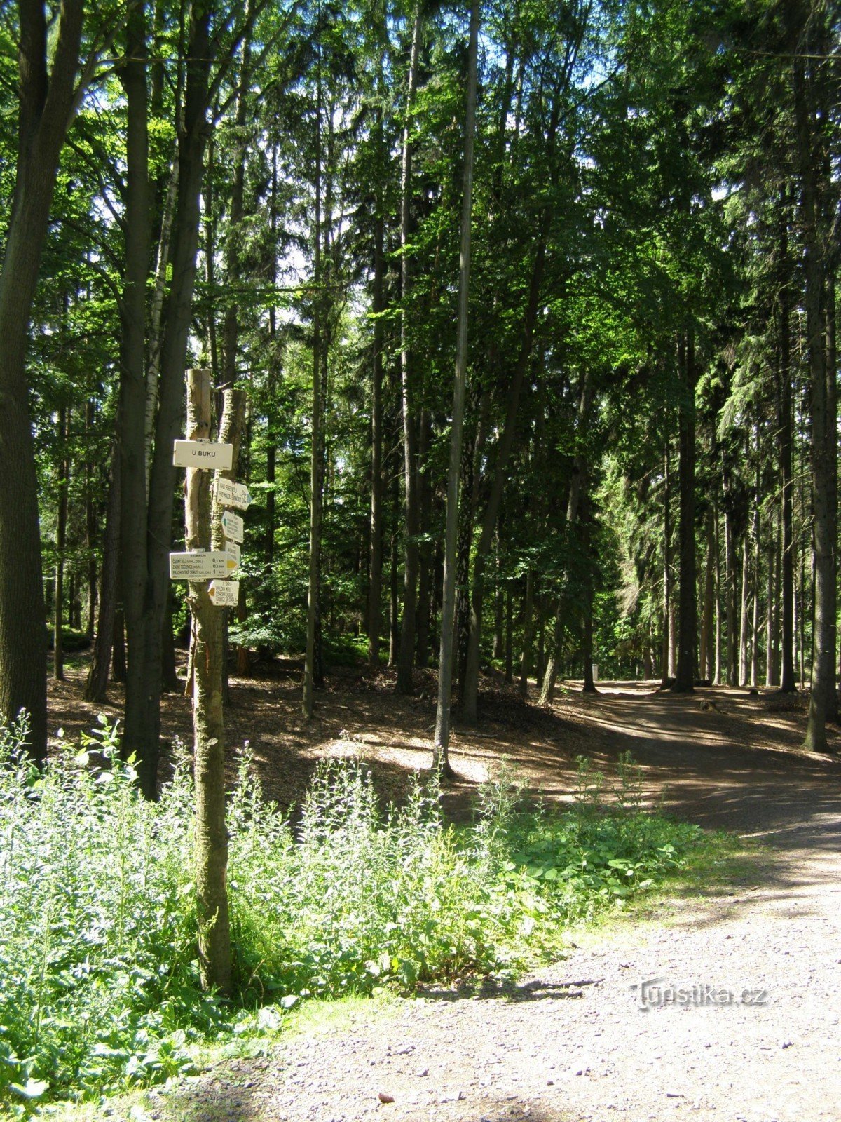 Prachovské skaly - U buku crossroads