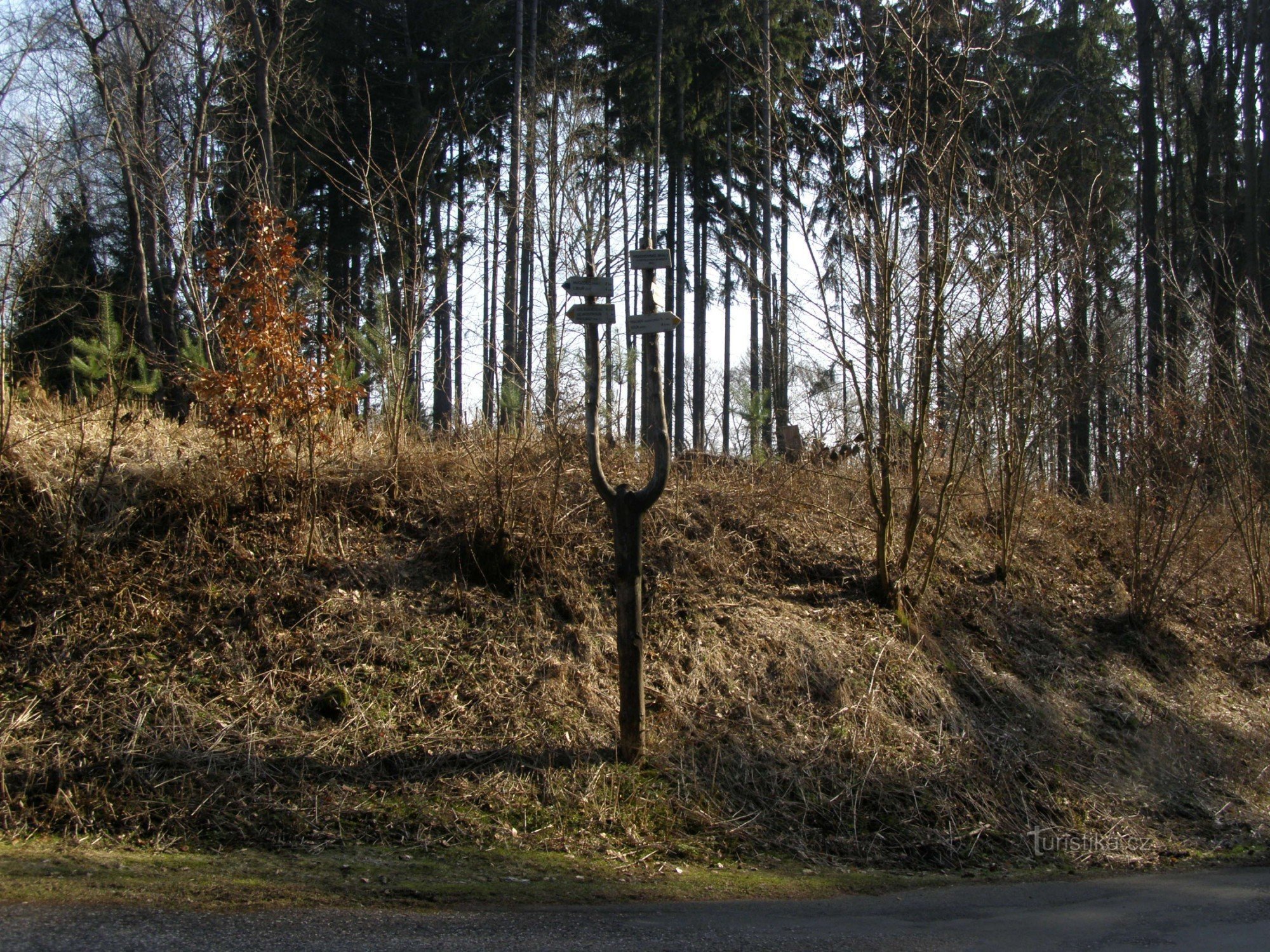Prachovské skály - vägskäl nära hotellet Skalní město