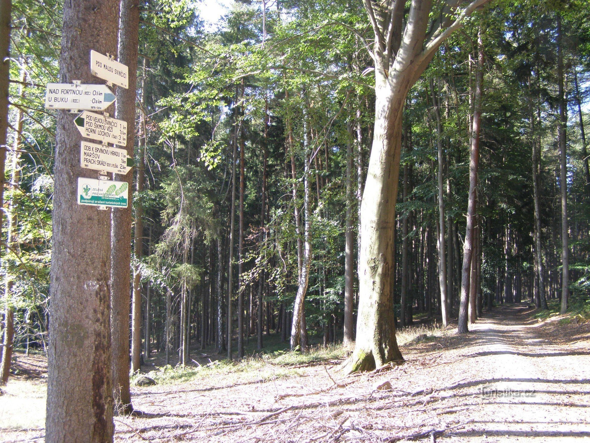 Prachovské skály - crocevia turistico Sotto Malou Svinčicí