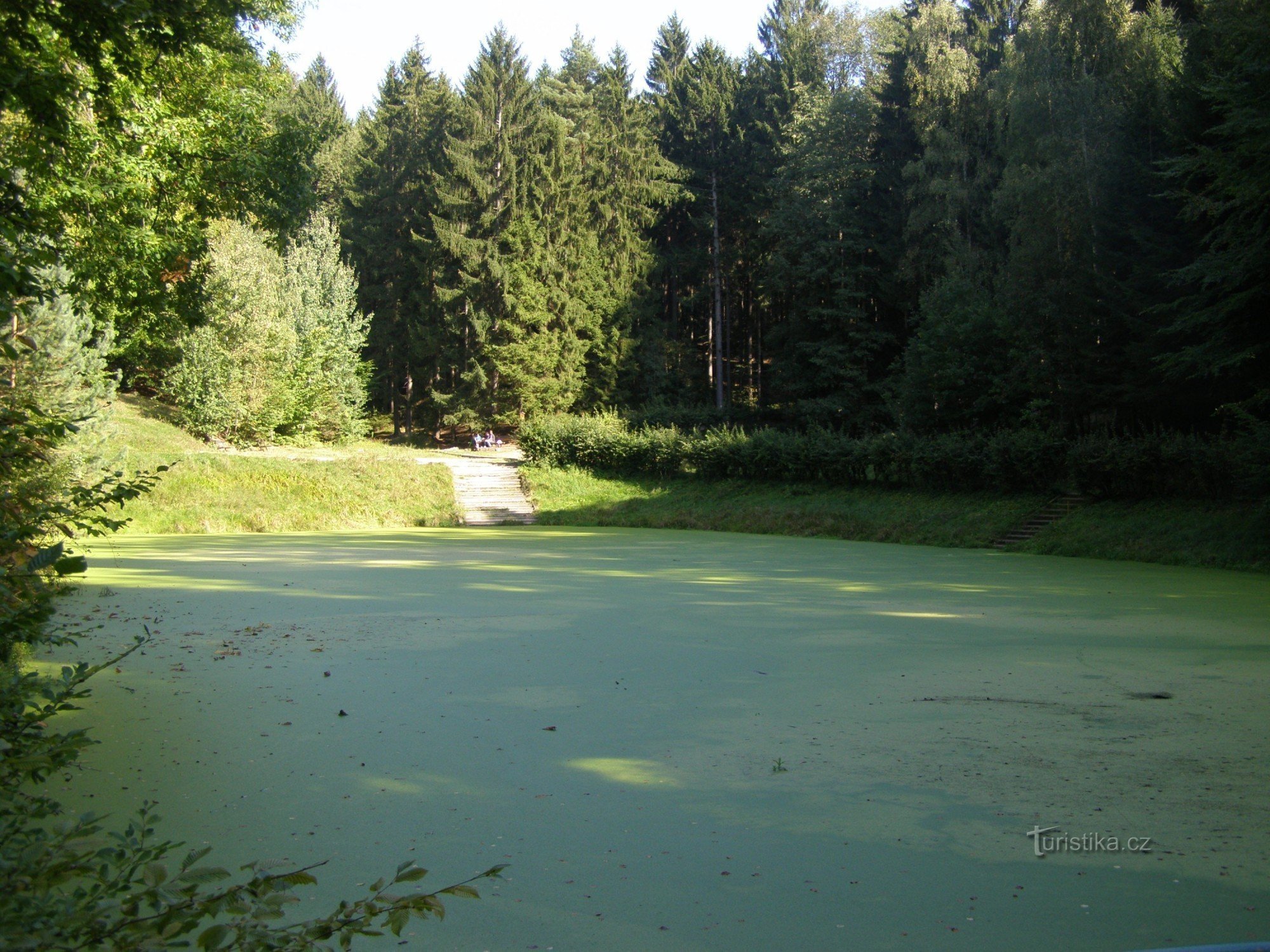 Prachovské skály - răscruce turistică la piscina U Pelíška