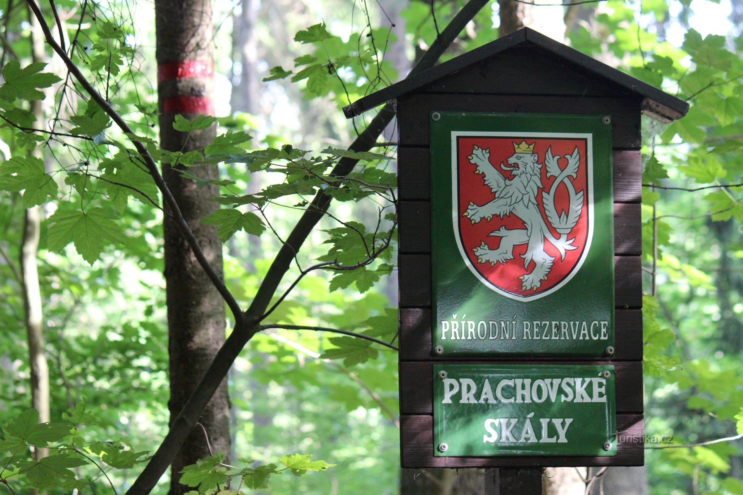 Prachovské rotsen in het Tsjechische Paradijs