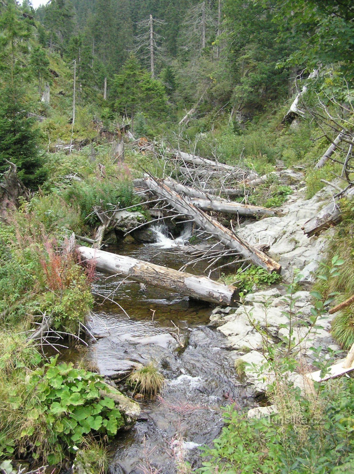 Străbunicul 14.9.2012