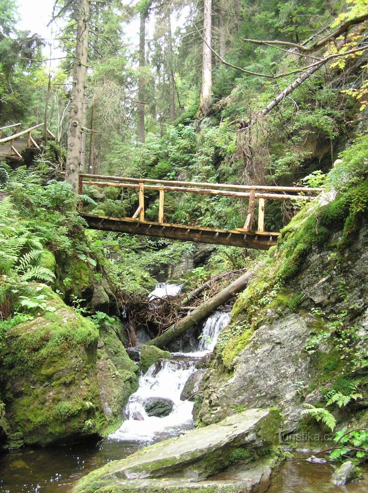 Străbunicul 14.9.2012