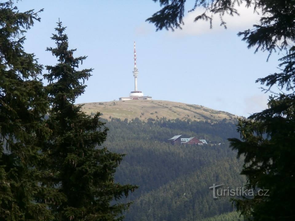 străbunic