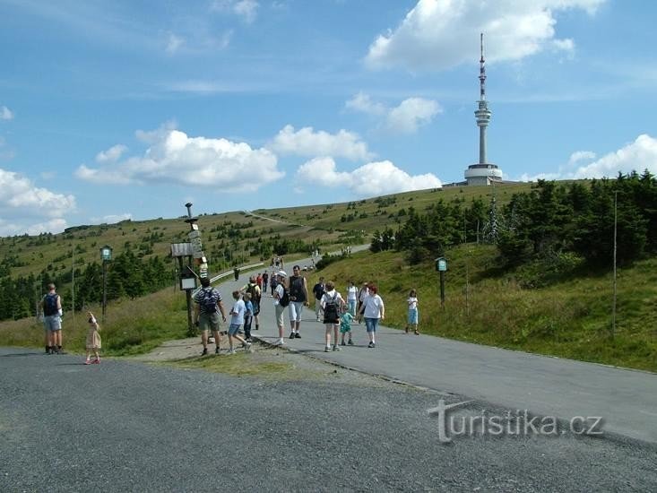 Praděd - rozcestí