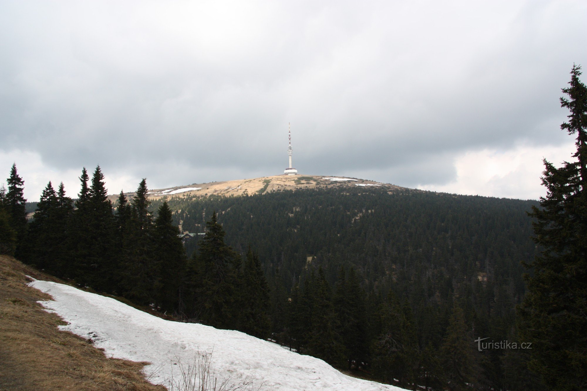 Străbunicul de departe