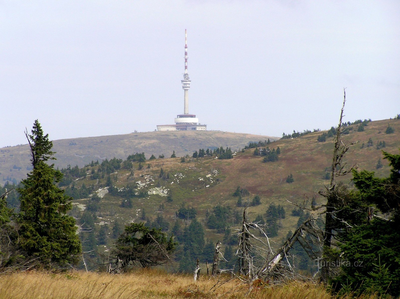 Străbunicul din Great May (10x zoom)