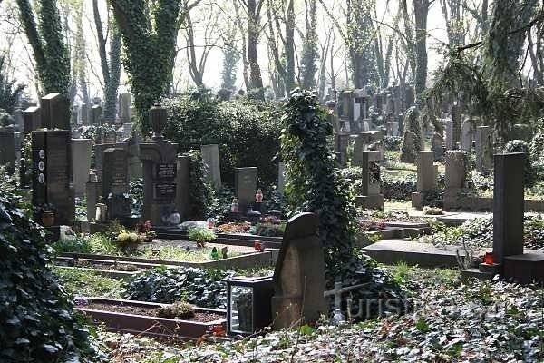 Praga, cimitirul Malvazinky