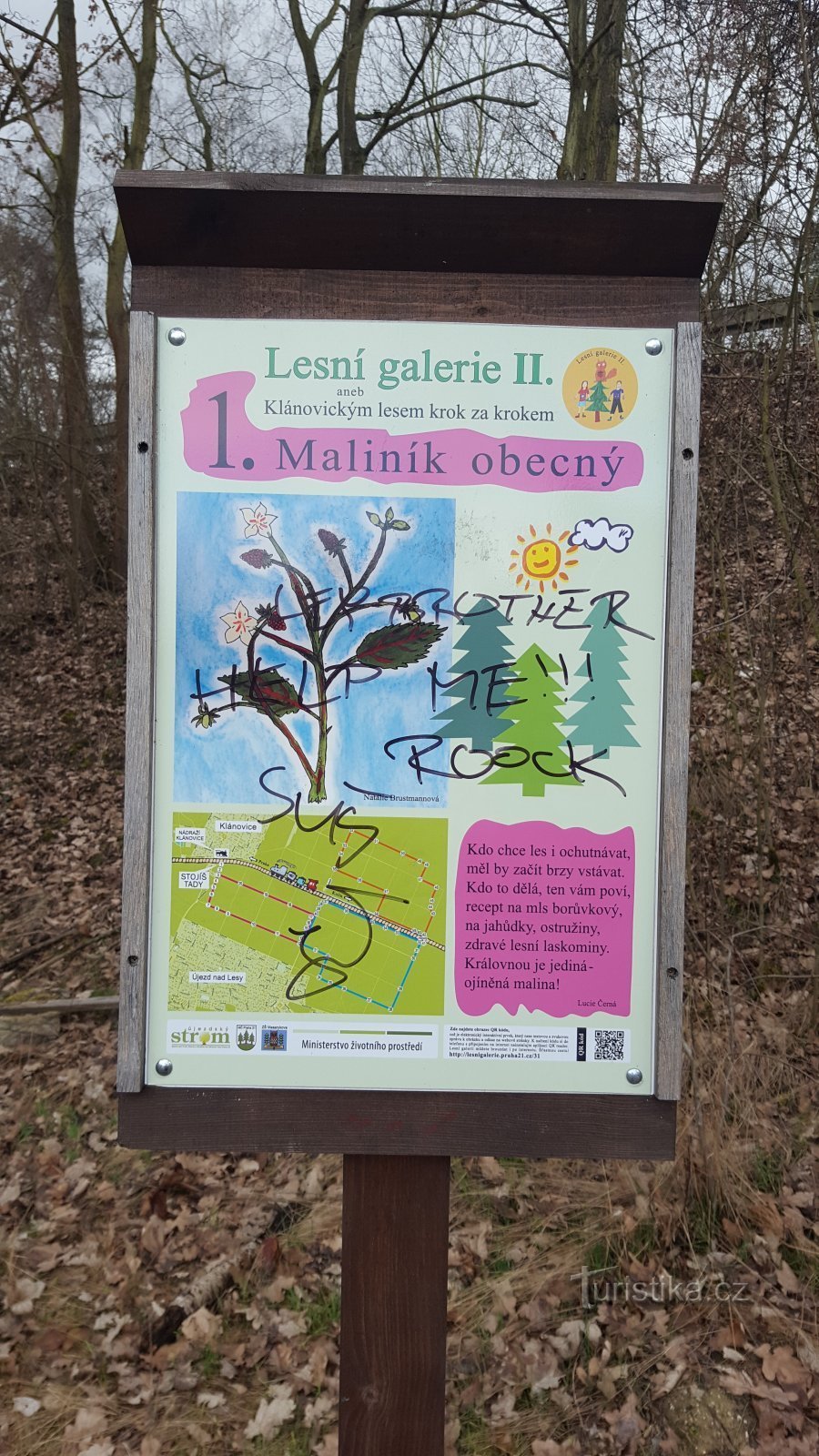 Prag-Klánovice - Waldgalerie II - Haltestelle 1 - gemeine Himbeere