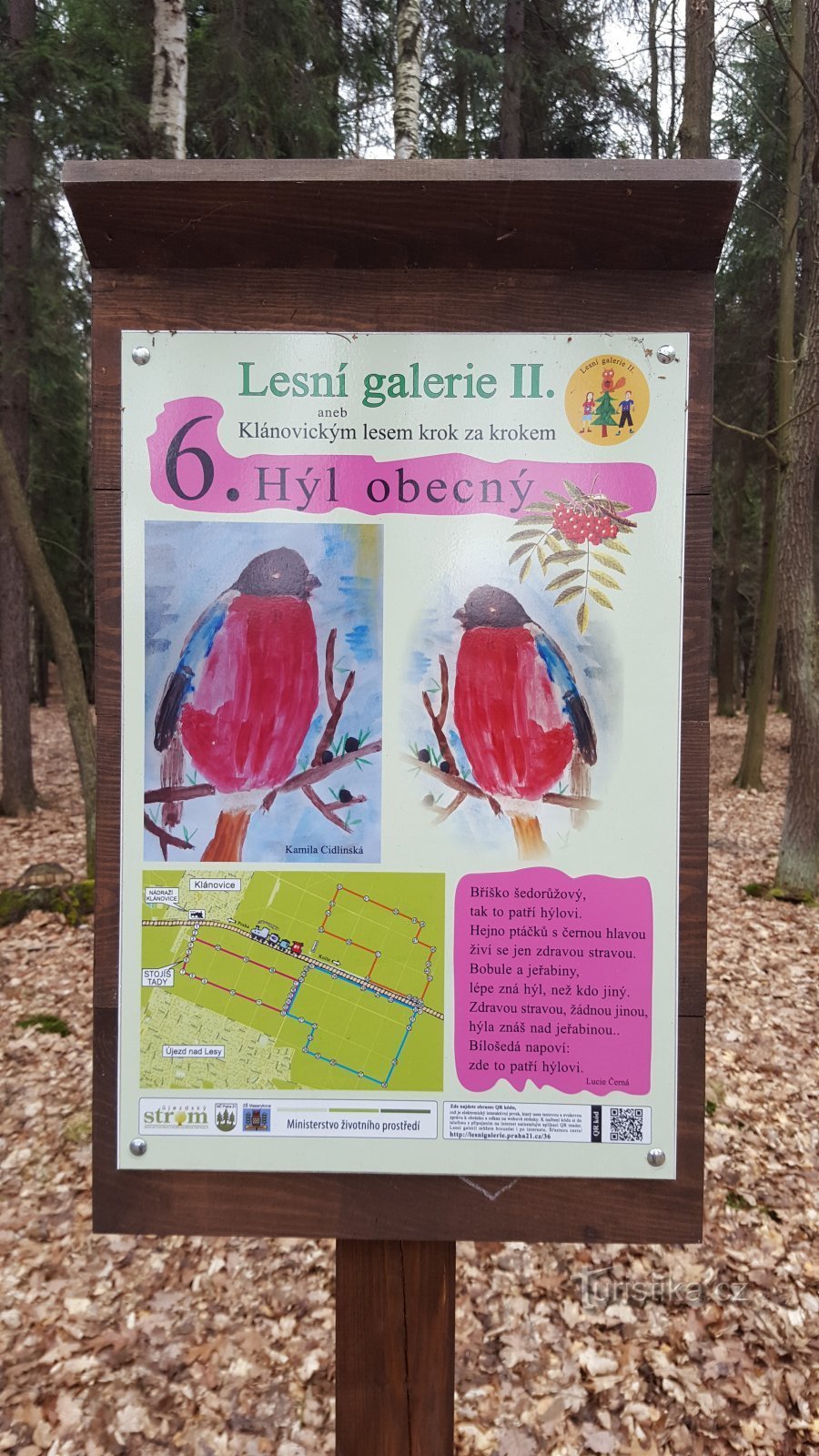 Prague-Klánovice - Lesní gallery II - зупинка 6 - hýl obecný