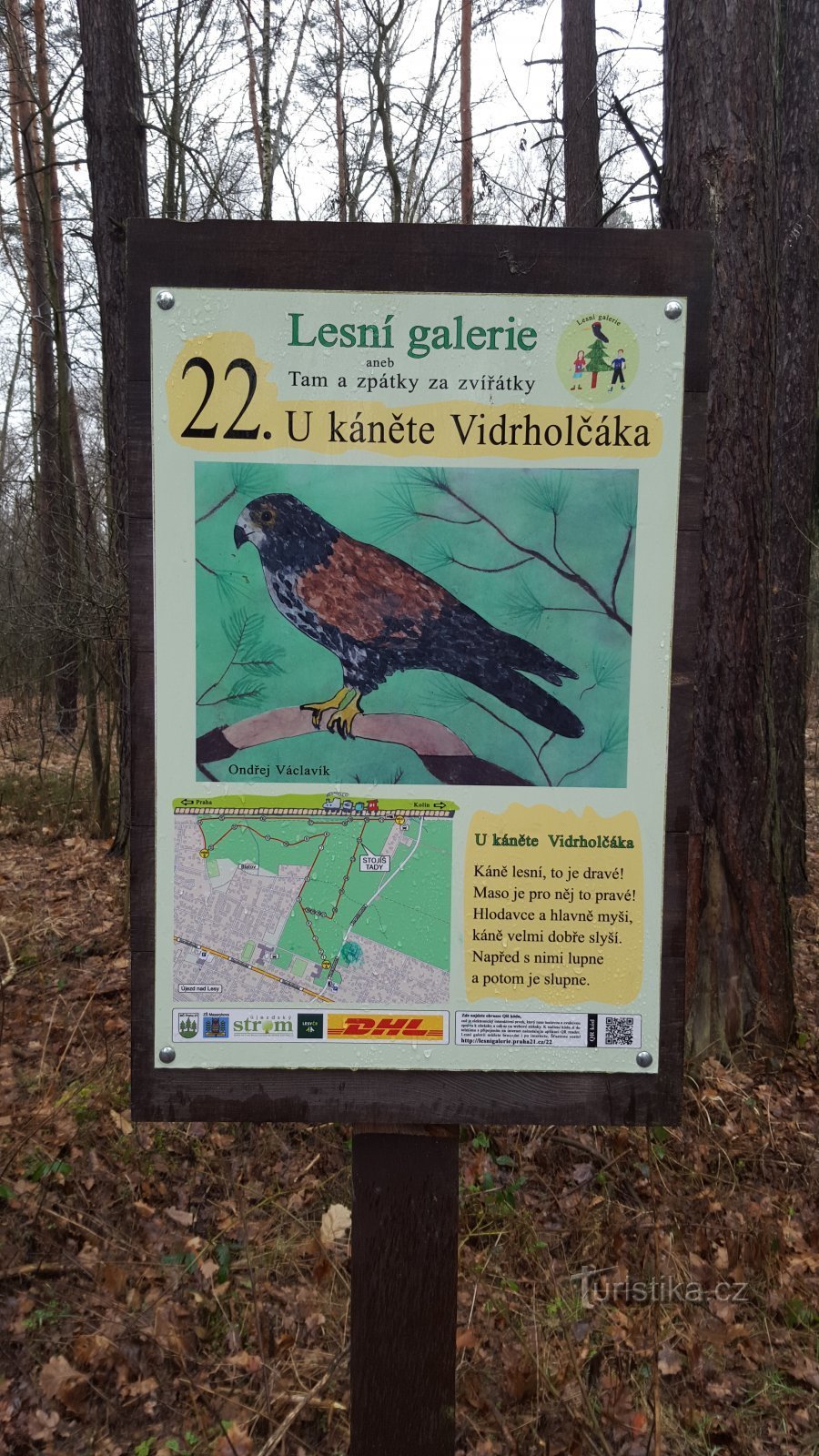 Praag-Klánovice - Lesní-galerij - halte 22 - buizerd Vidrholčák