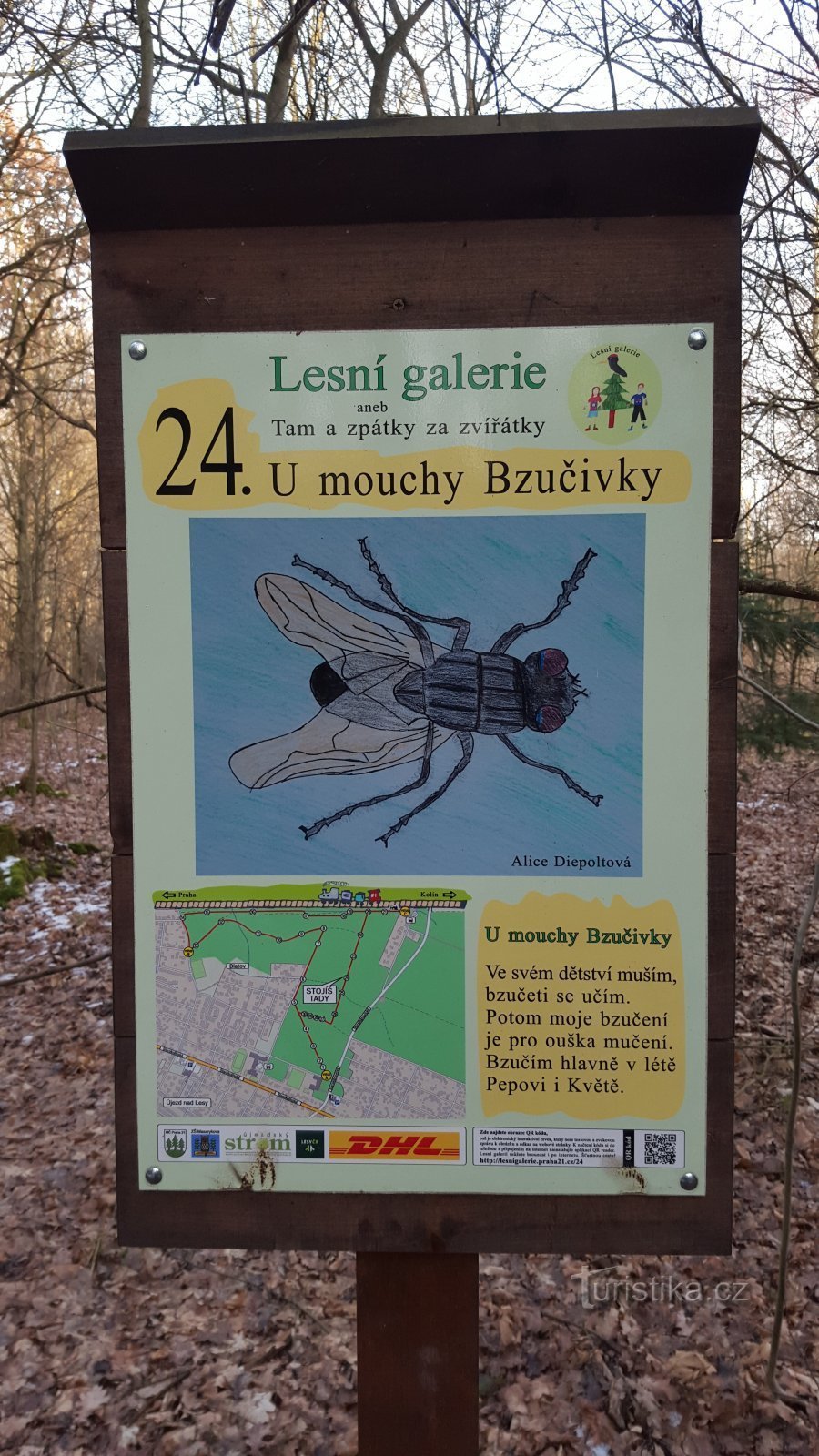 Praga-Klánovice - galerija Lesní - postaja 24 - letenje Bzučivka